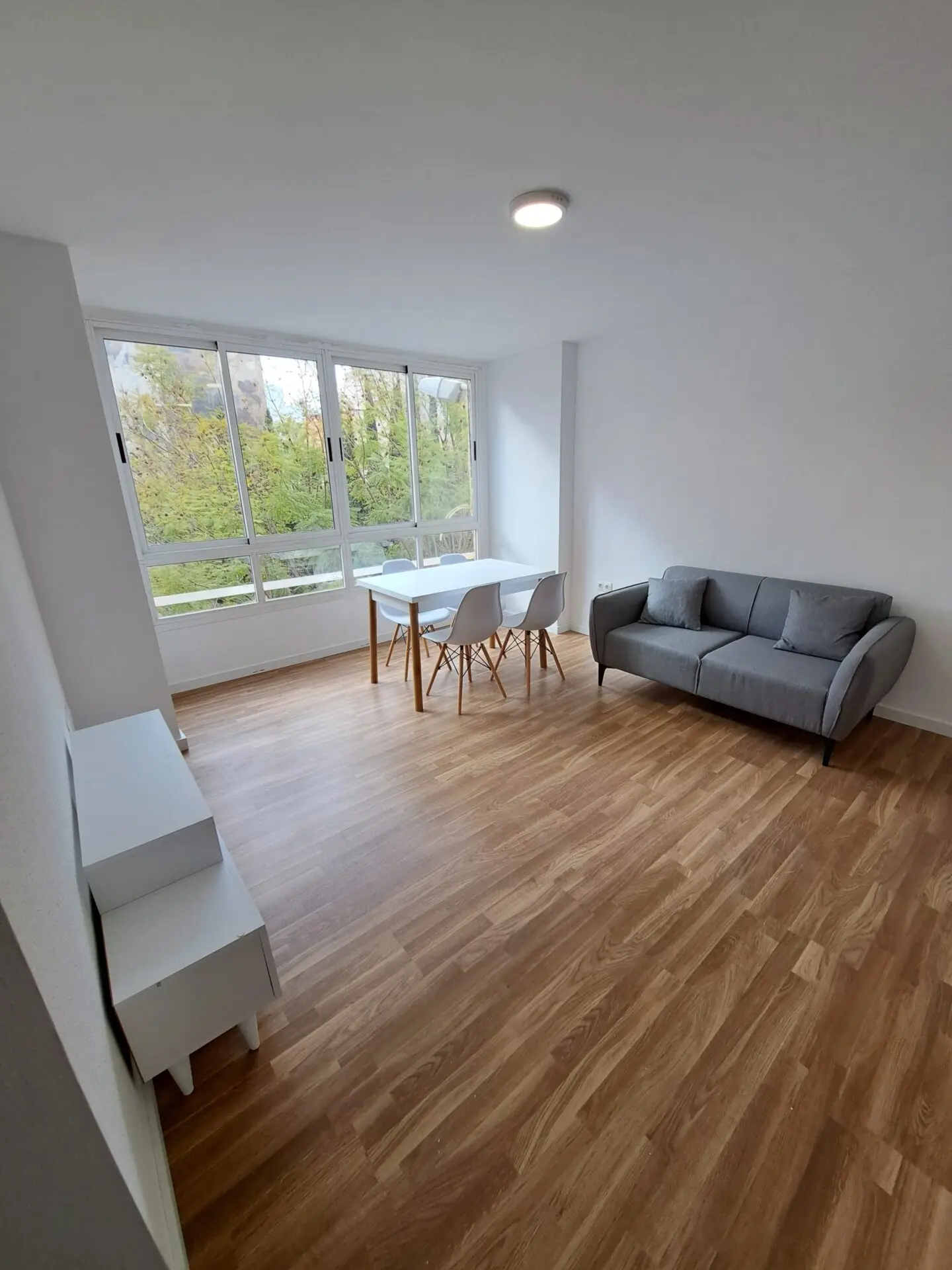 Calle huertos 33, 2º comedor